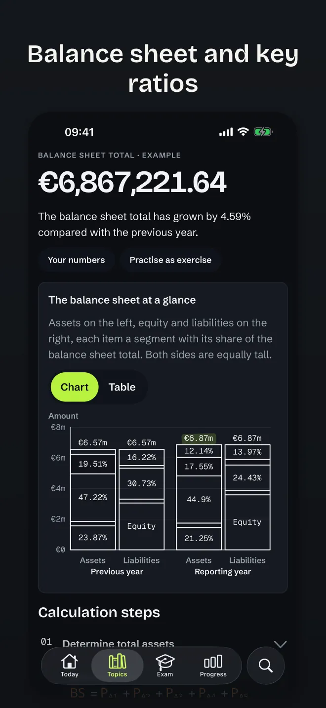 Balance sheet and key ratios at a glance